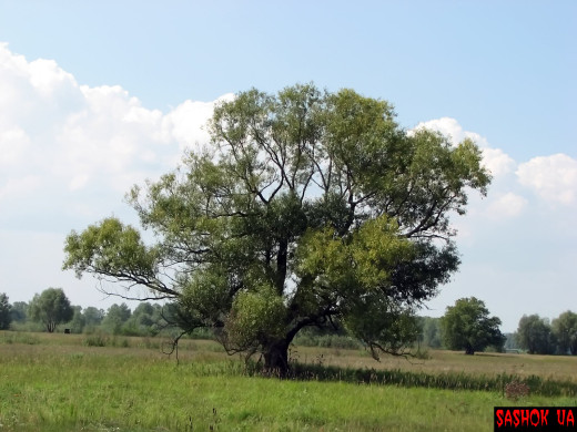 34858 (a): :1600x1200